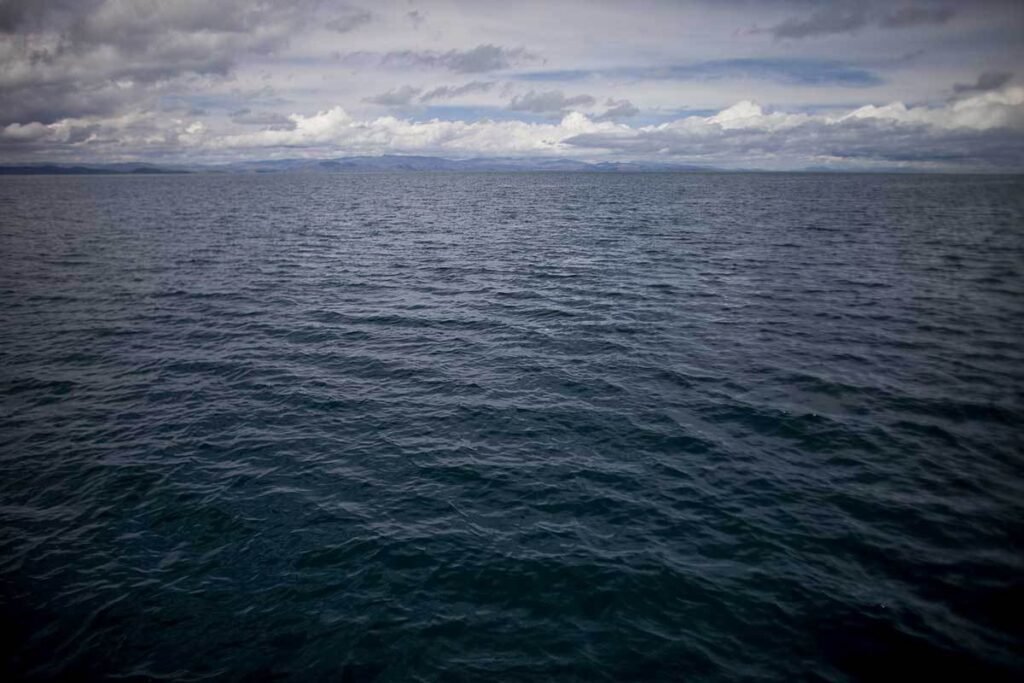  Foto: Nicolás Pousthomis 