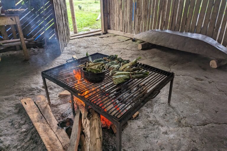  El maito es una preparación tradicional que consiste en asar la proteína animal envuelta en hoja de bijao. Foto: Rhett Butler 