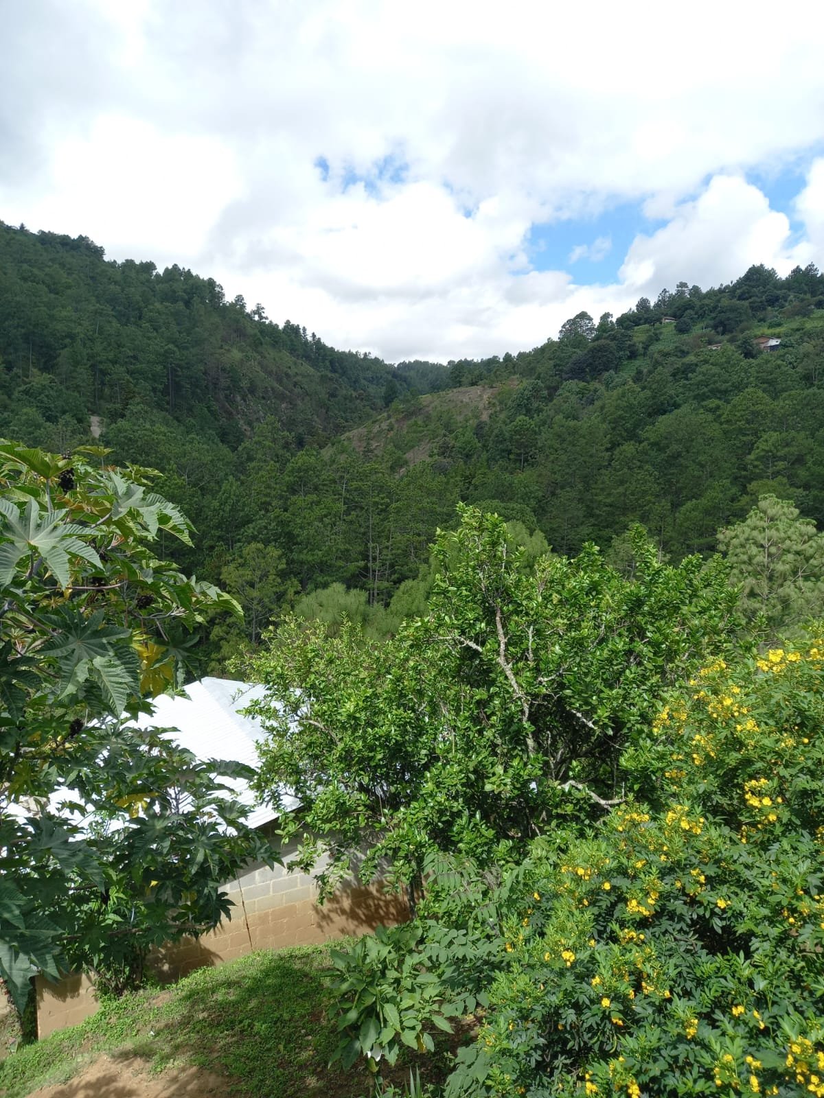   Un paisaje natural acompaña la vida de la comadrona Adela Ixcoteyac en Santa María Chiquimula. Foto de Hugo Bulux 