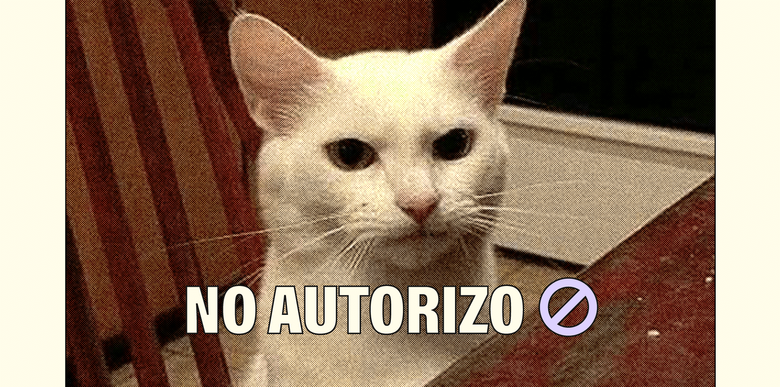 Fotografía: Karen Lara