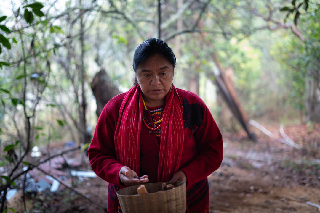  Foto: Santiago Navarro 