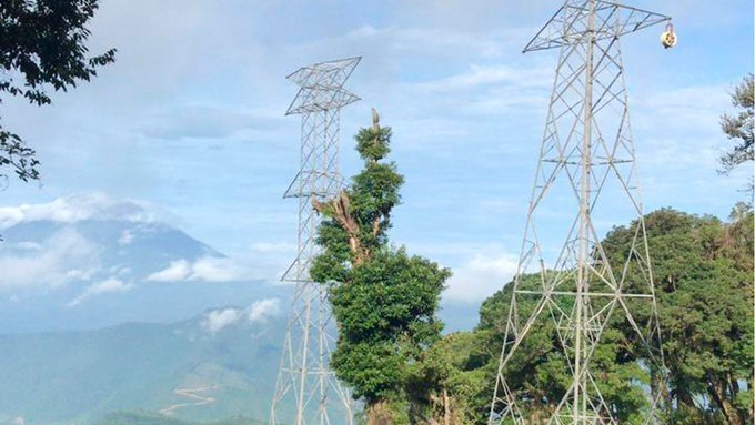 Fotografía: Coordinadora de Comunidades afectadas por TRECSA