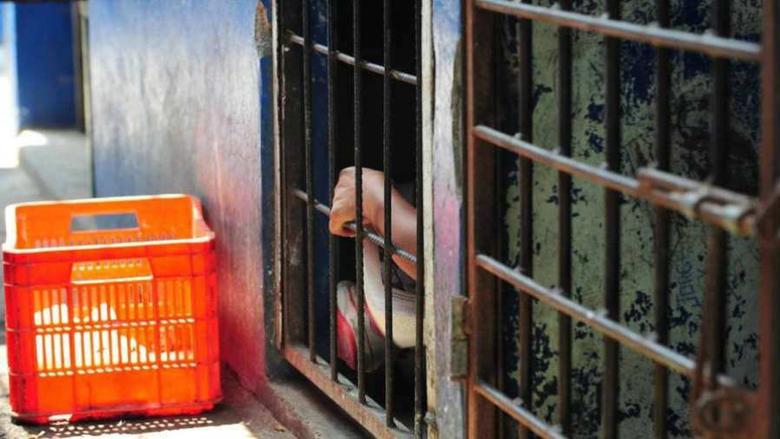 Fotografía: de archivo (referencial)