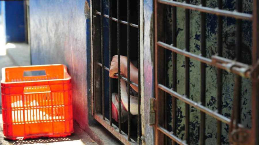 Fotografía: de archivo (referencial)