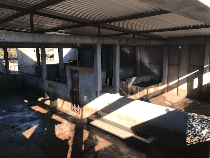  Corrales. En ese momento había un cerdo que no se dejó ver. Foto: Andrea Rodríguez. 