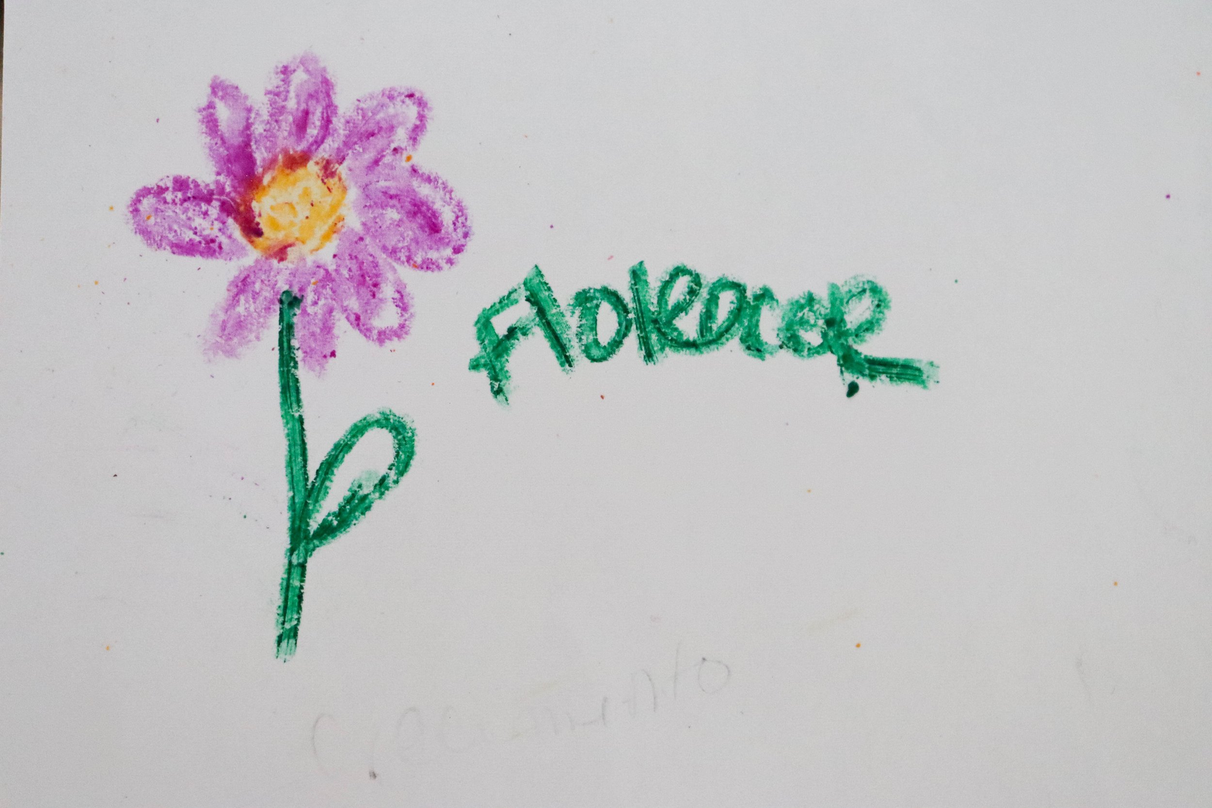  Dibujo sobre la palabra resiliencia y crecieminto. 