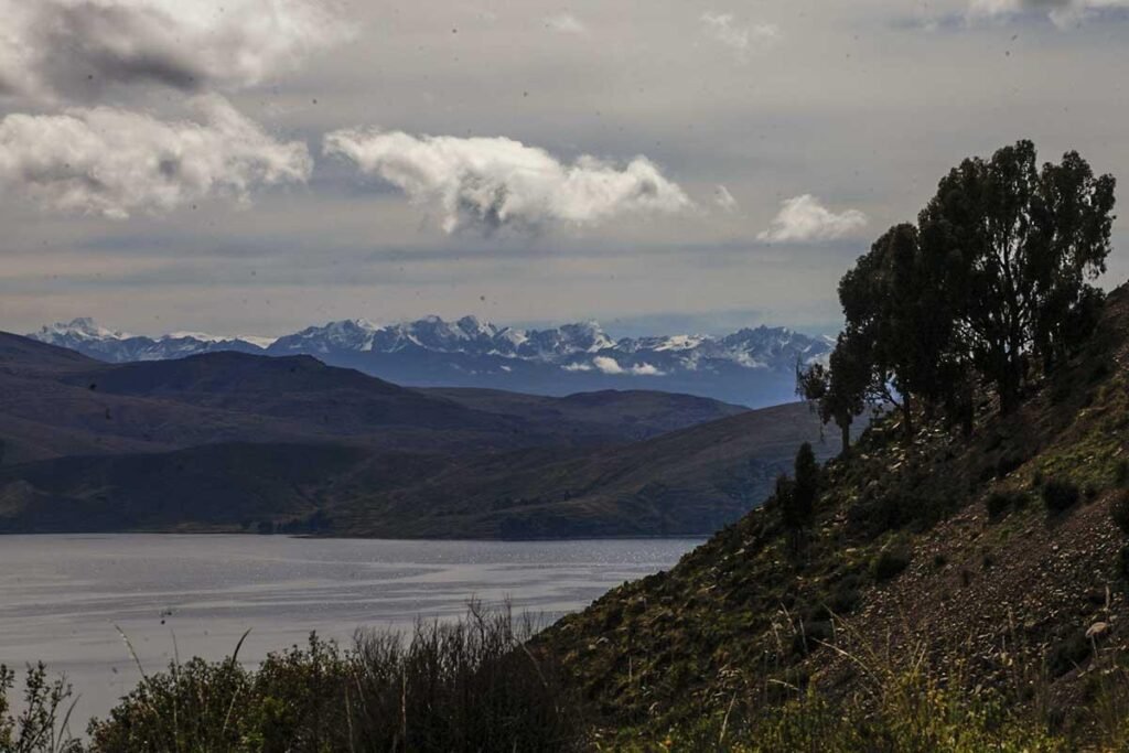  Foto: Nicolás Pousthomis 