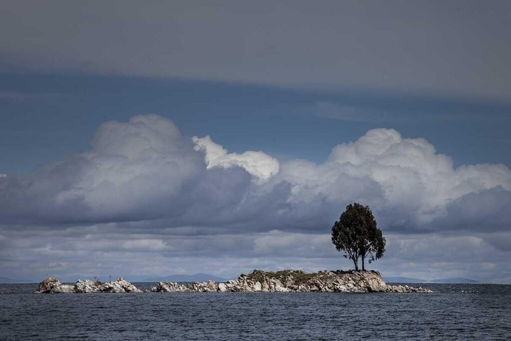  Foto: Nicolás Pousthomis 