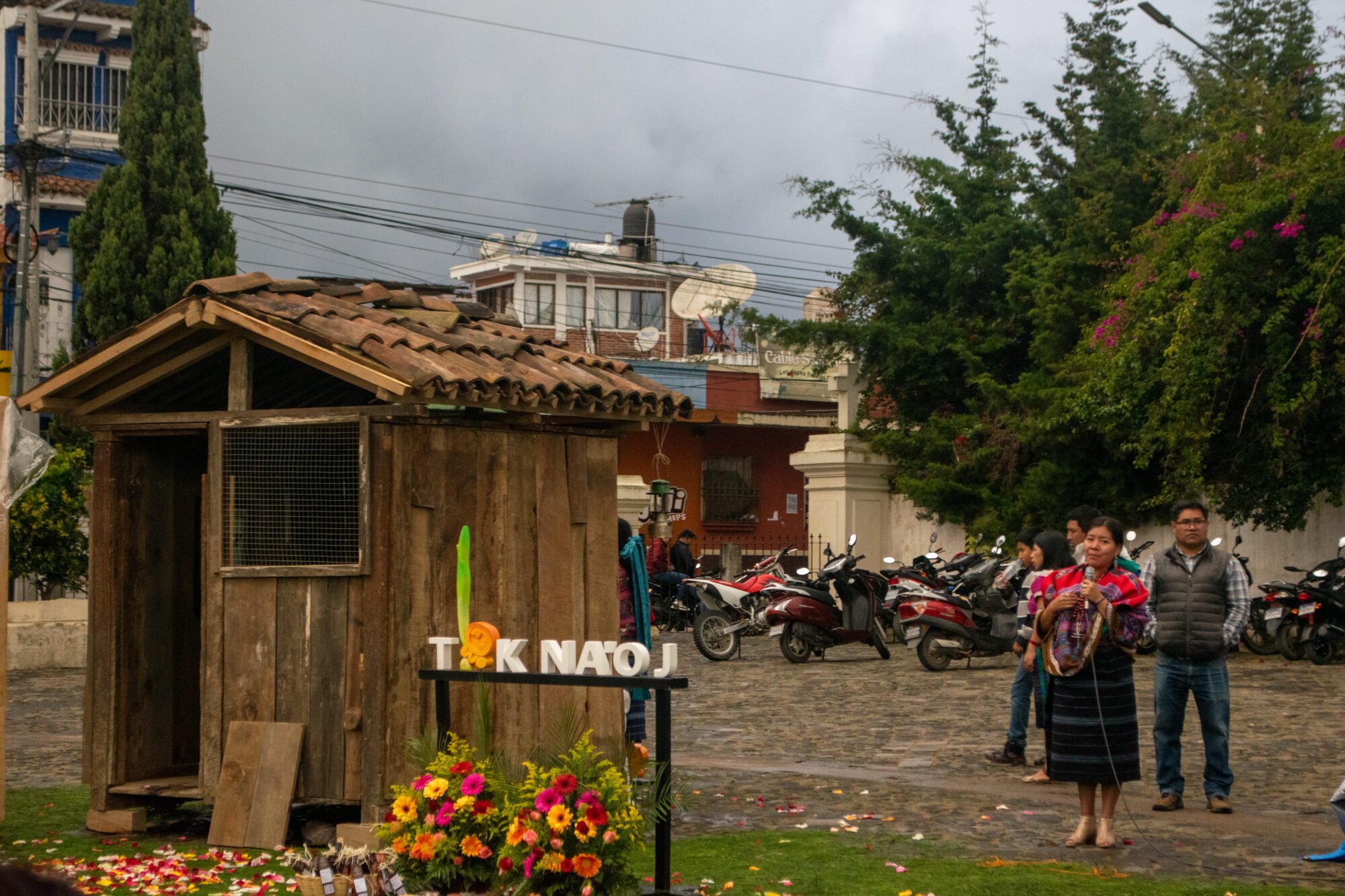  La colectiva Tik Na’oj busca preservar las semillas nativas. Foto de Joel Solano 