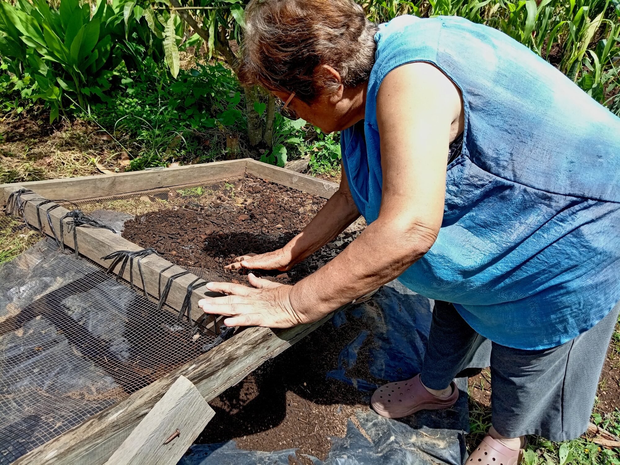  Los cultivos se realizan con macetas recicladas. Foto de Maylin Hernández 