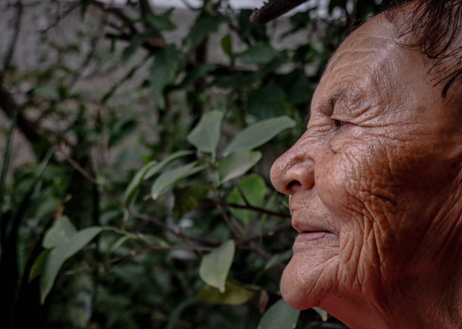  Perfil de Doña Fili. Foto: Lizbeth Hernández 