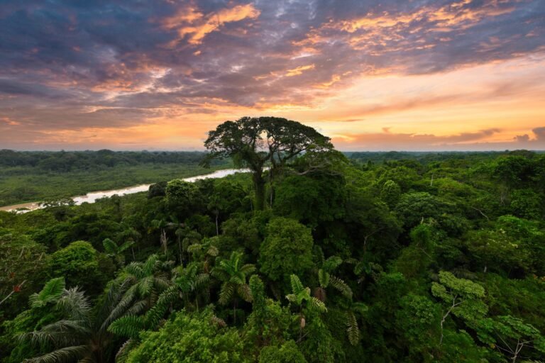  El atardecer en Sani Isla. Foto: Rhett Butler 