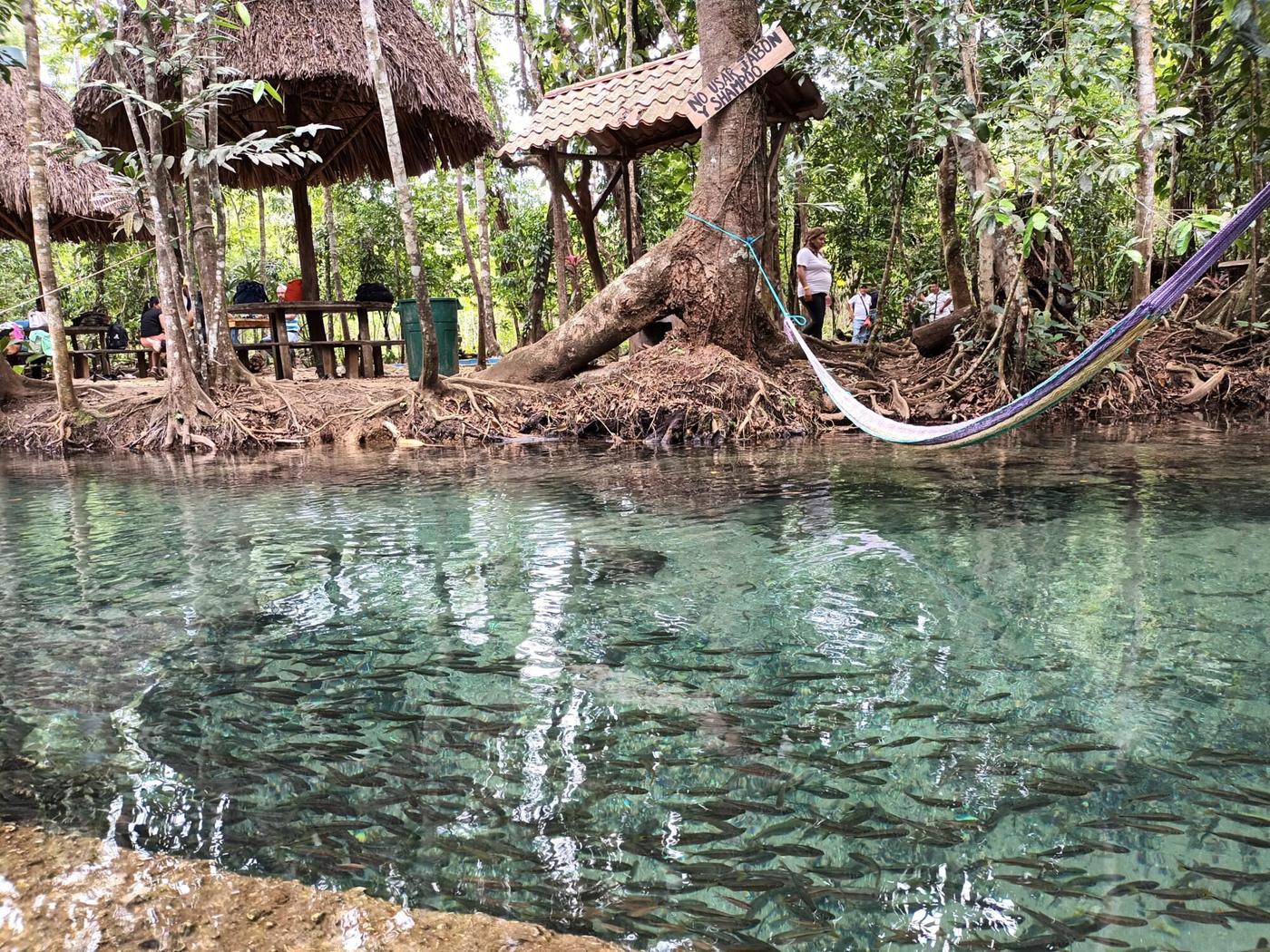 Los turistas pueden relajarse en hamacas. Foto de Yeimi J. Alonzo 