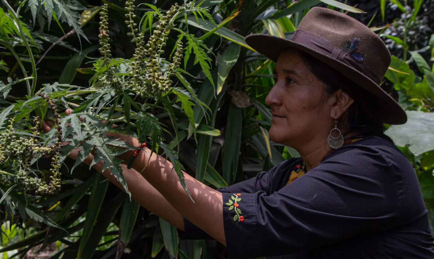  Foto: Alejandro Ramírez Anderson 