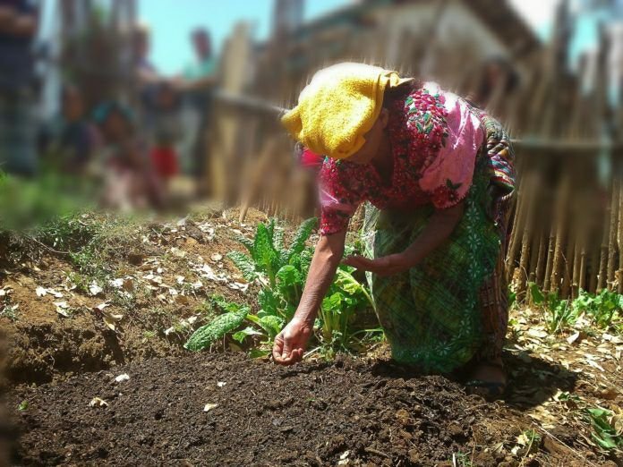 Fotografía: Redes sociales