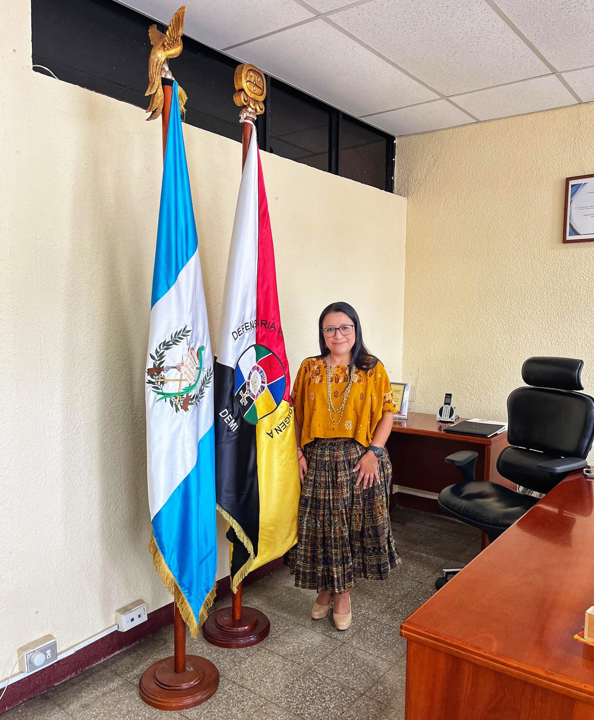  Recuperar la institucionalidad de la Defensoría de la Mujer Indígena es la apuesta de María Xol. Foto de Derik Mazariegos 