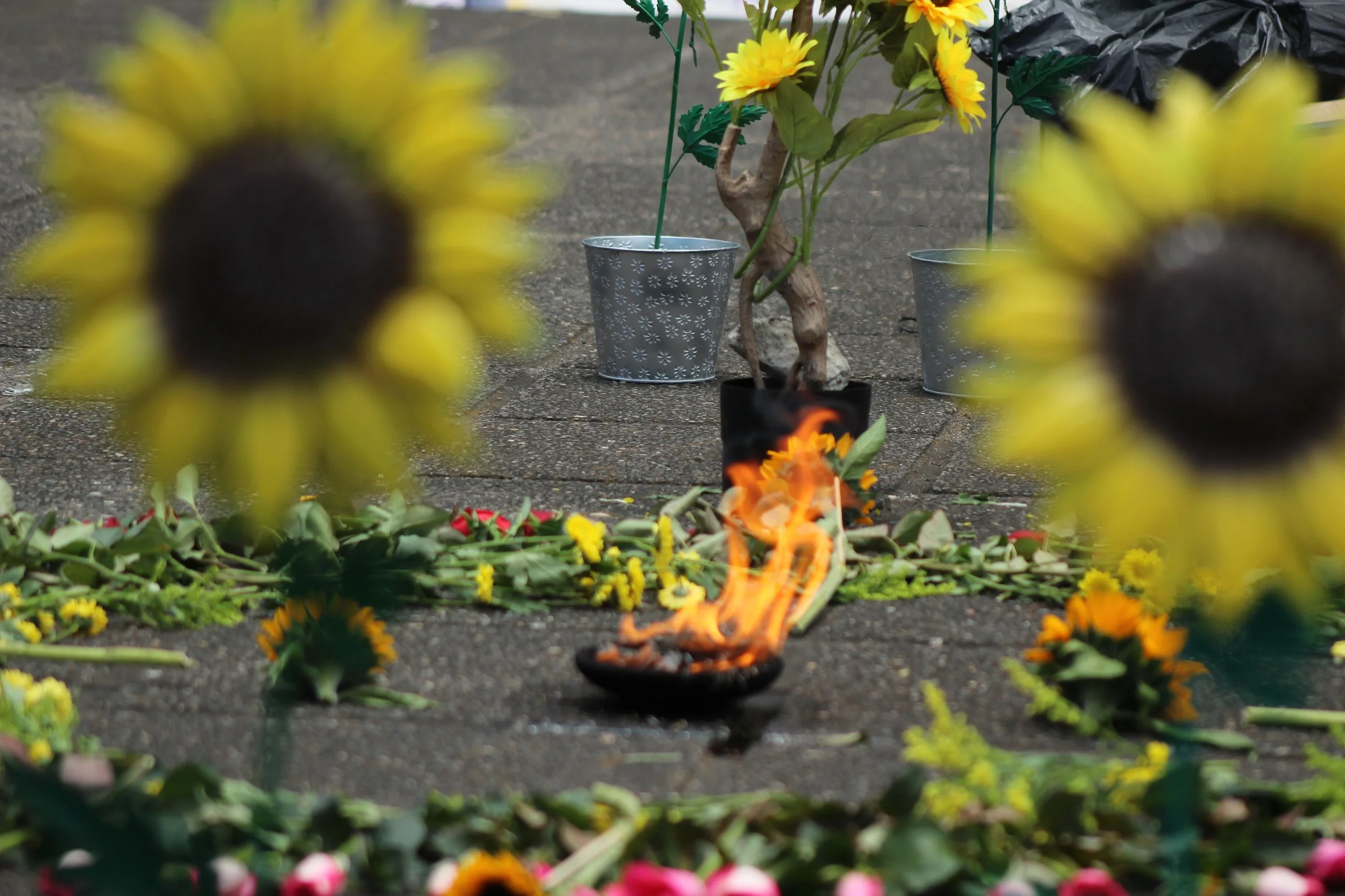  Crédito: Ana Alfaro  