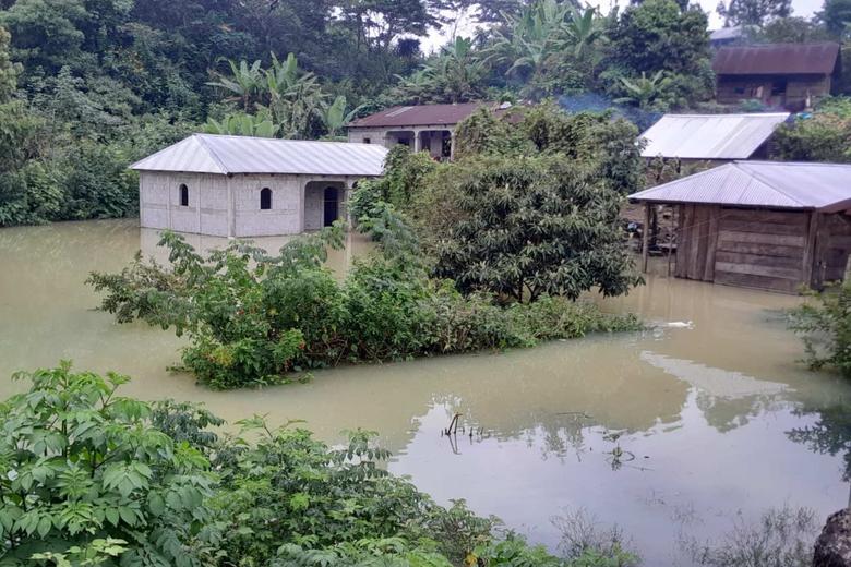 Créditos: Juan Bautista Xol