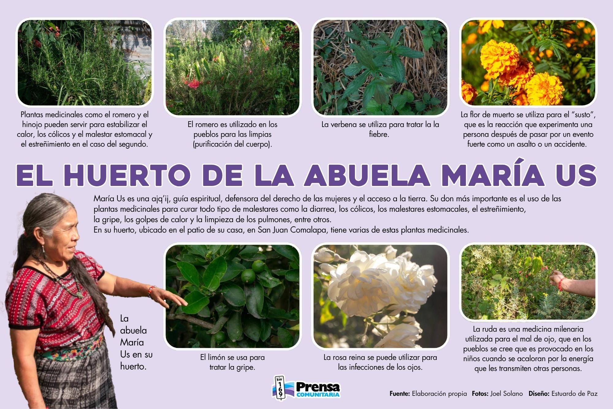  Estas son algunas de las plantas que María Us tiene en su pequeño huerto. Diseño Estuardo de Paz 