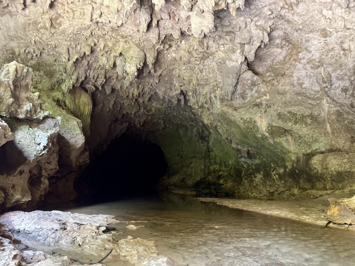 Foto: Yeimi J. Alonzo