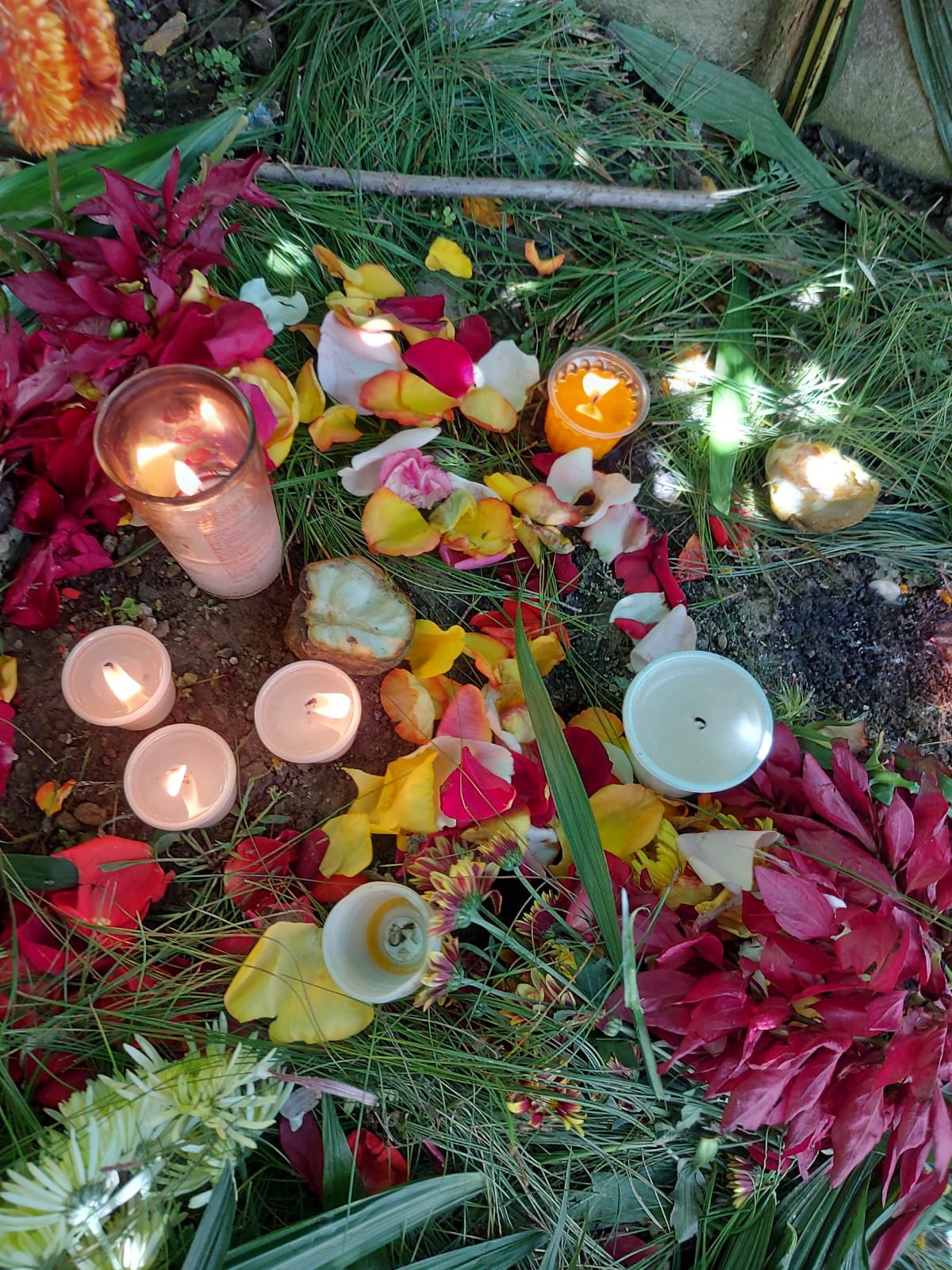  Foto de Cristina Bernabé 