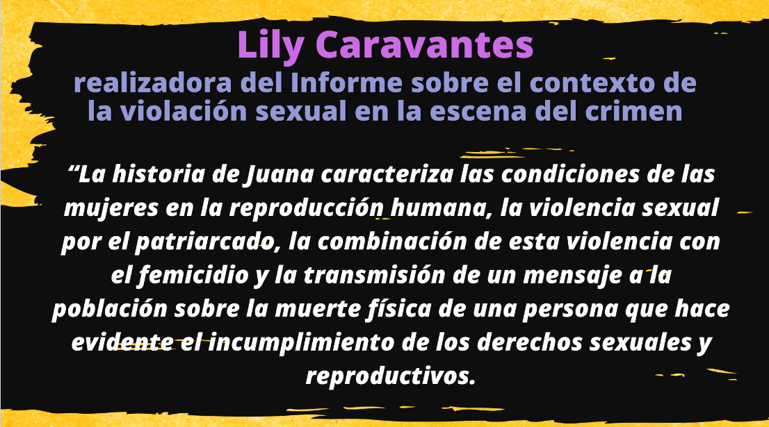  Diseño: Paolina Albani. 