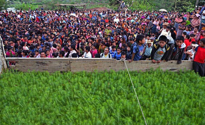 Fotografía: Nelton Rivera