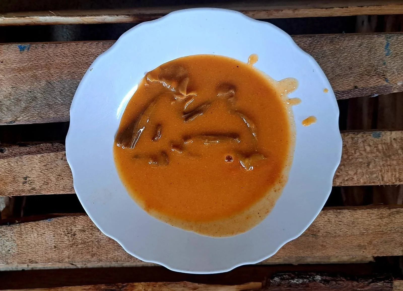  Hongo en pulique. Los hongos pueden asarse y comer en limón o acompañarlo con chile seco. Foto cortesía 