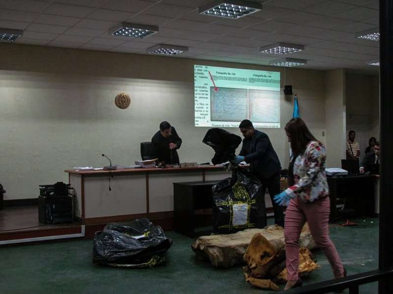 Créditos: David Toro