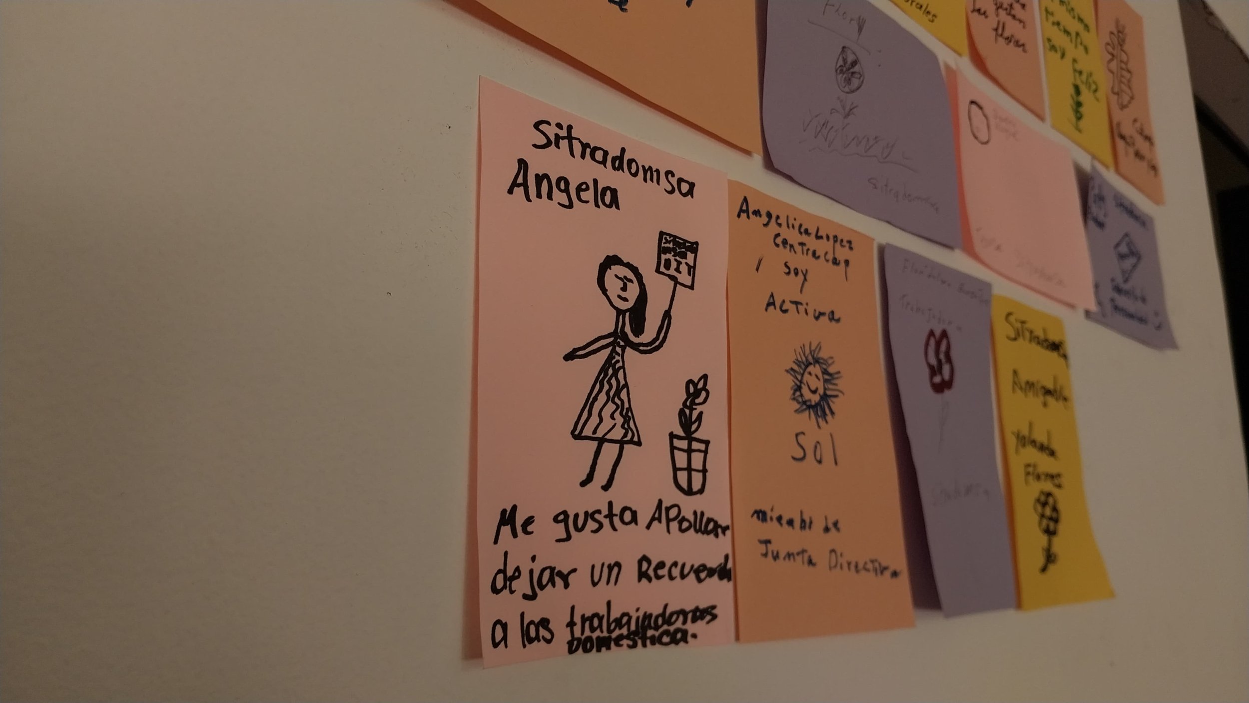  Foto: Jasmin López.    