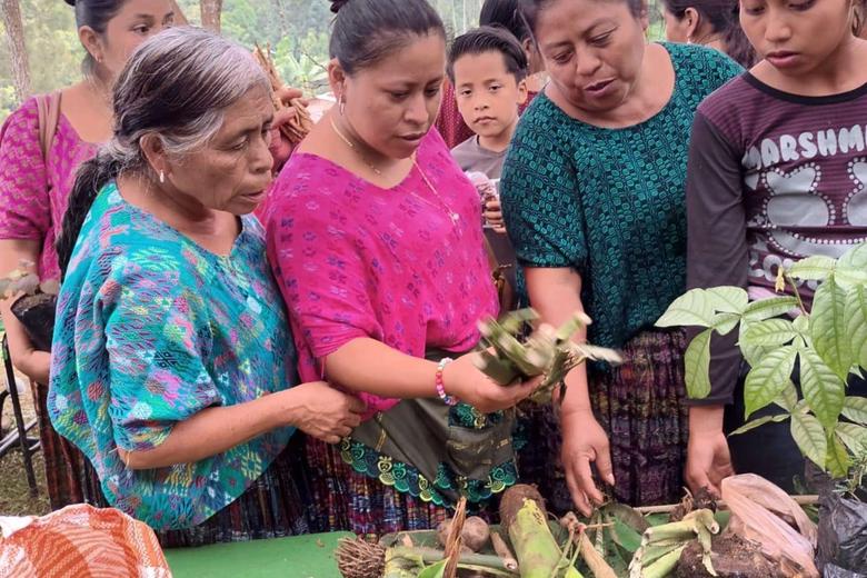 Mujeres participan en el intercambio de semillas en la aldea Chichut, Alta Verapaz.