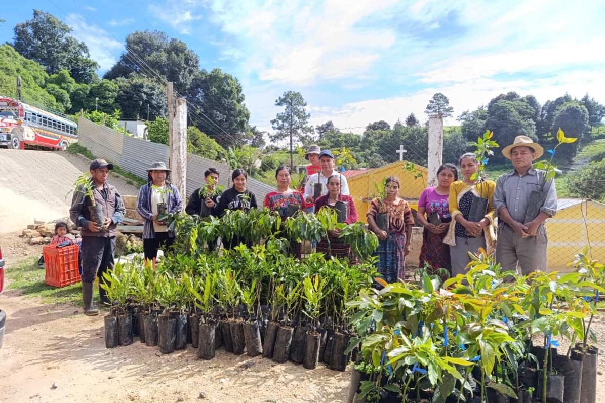 Varias personas participan en la actividad, rodeadas de plantas listas para ser sembradas. Foto: Joel Solano.