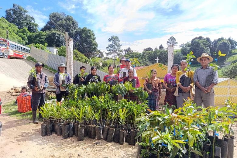 Varias personas participan en la actividad, rodeadas de plantas listas para ser sembradas. Foto: Joel Solano.
