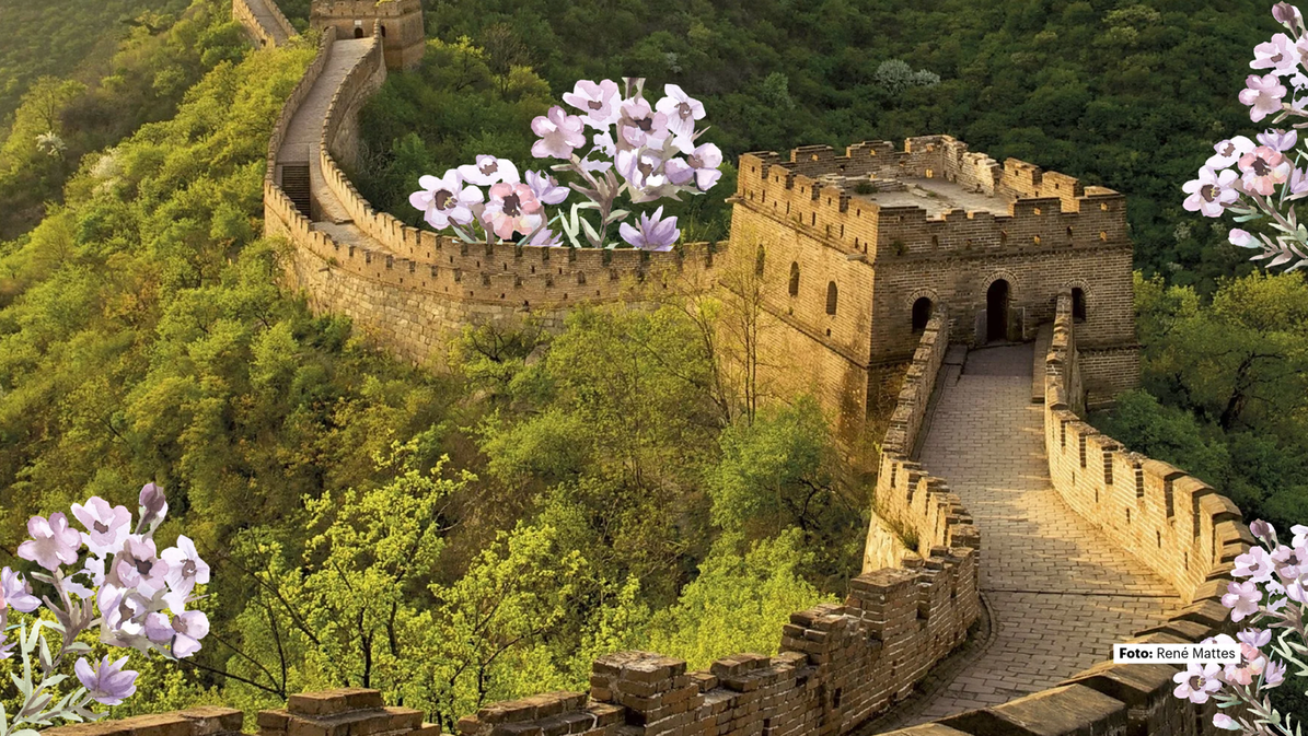 Muralla