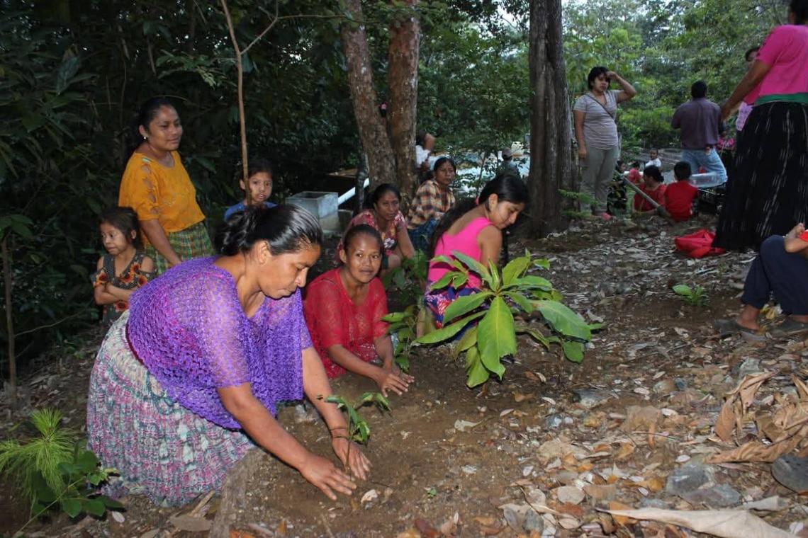 public/wxmr5hccz08w5jij5fpafsqdqlhc/Portada. Mujeres participan en reforestación en nacimiento de agua en El Estor, Izabal. Foto COCODE Los Cerritos.jpeg