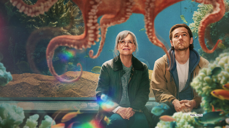 Dos personas observan a un pulpo.